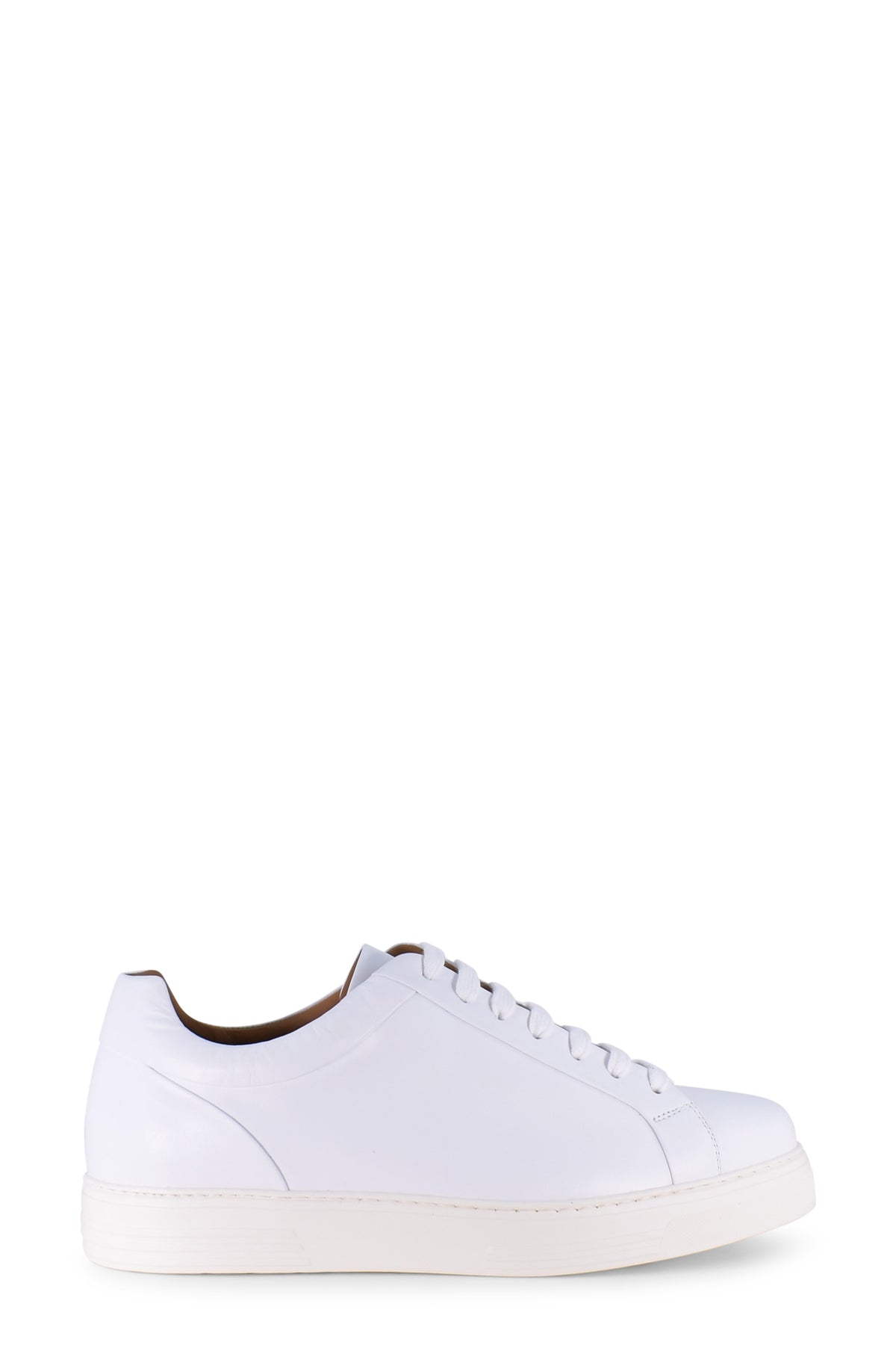 SON 500BIANCO ROGAL'S