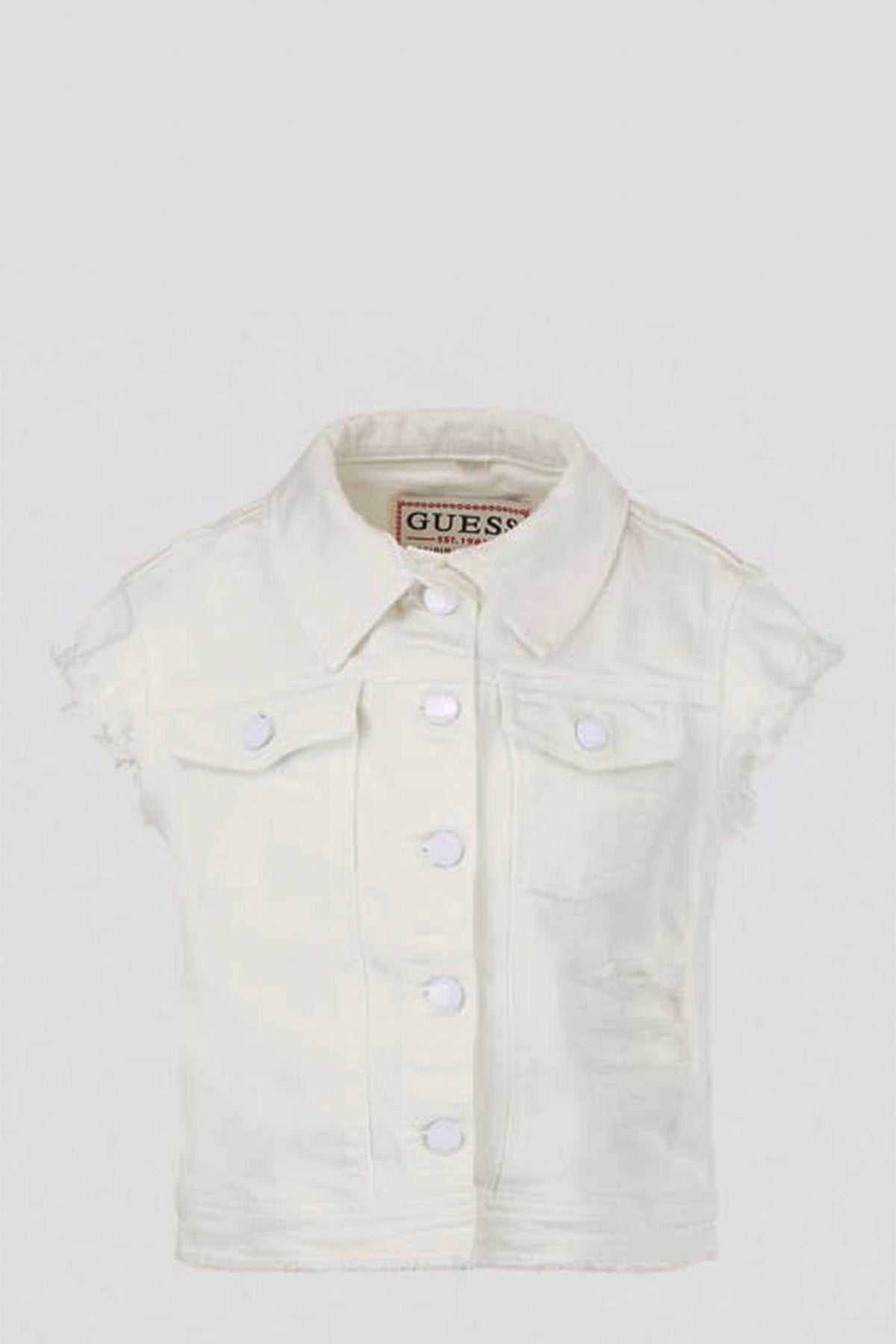 Giubbino