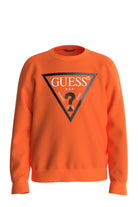 Maglie 