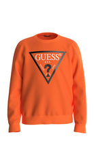 Maglie 