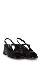 BH 1507NERO BRUNO PREMI