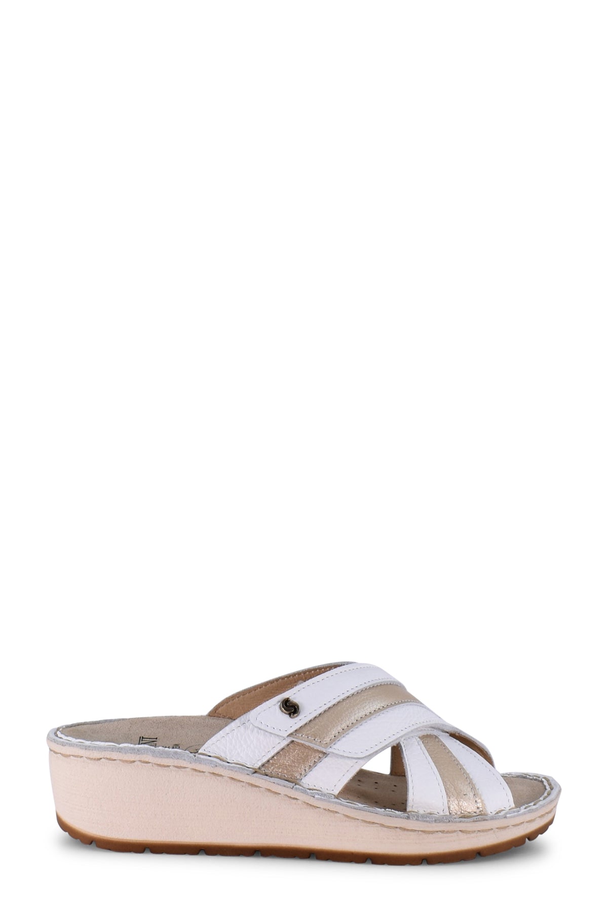 S417CERVO/PLATINO SABATINI
