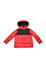 CAP01564RED LIVE