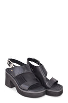 BN6703NERO BRUNO PREMI