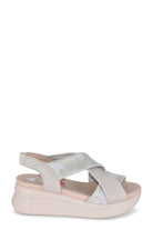 29930FLOTY/MARFIL CALLAGHAN