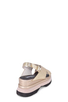 AJ523PLATINO JEANNOT
