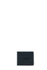 PU3891W137RBLU