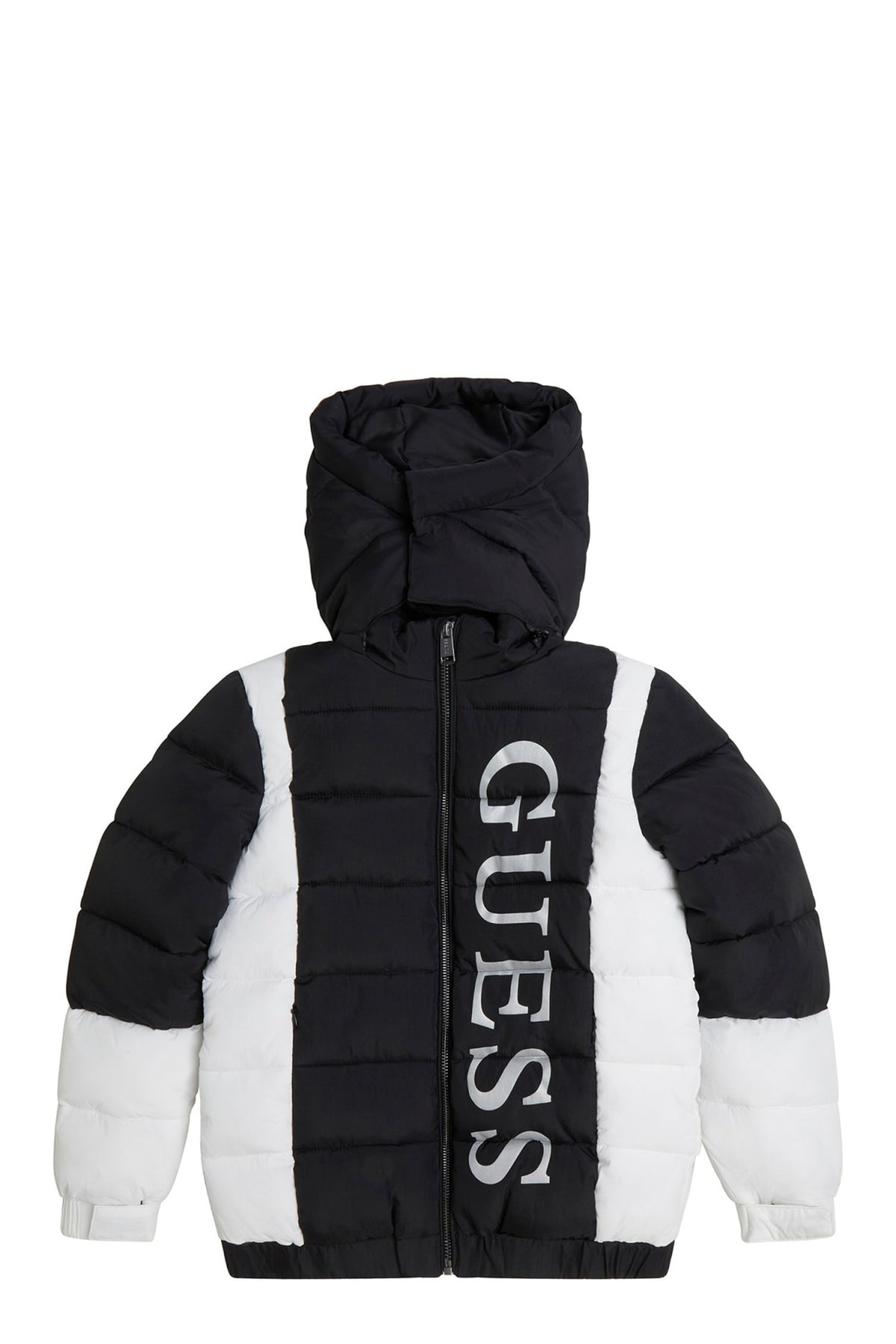 Giubbini 